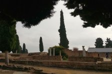 s376 italica